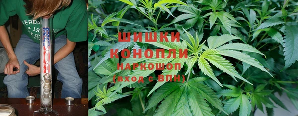 мдма Новодвинск