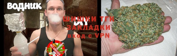 прущие грибы Няндома