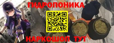 прущие грибы Рязань
