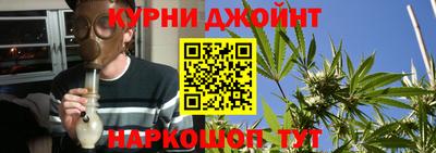 гидра Рузаевка