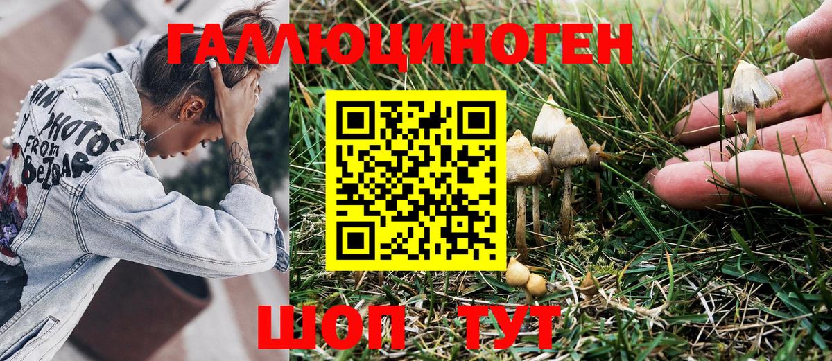 Псилоцибиновые грибы прущие грибы Новотроицк