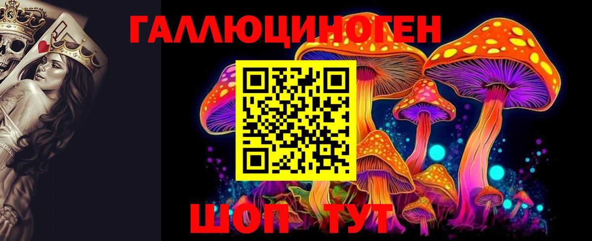 Галлюциногенные грибы Psilocybe  Псилоцибиновые грибы Cubensis  Вход с VPN  Новотроицк 