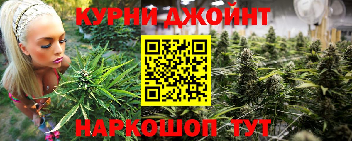 Конопля MAZAR Новотроицк
